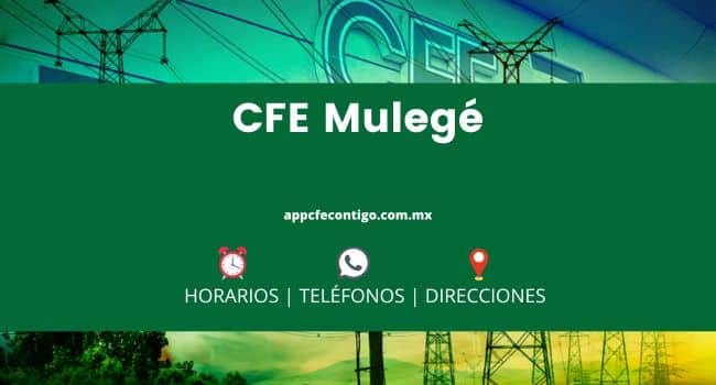 CFE mulegé