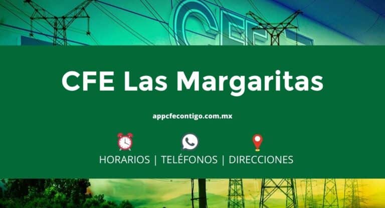 Oficinas CFE Palenque